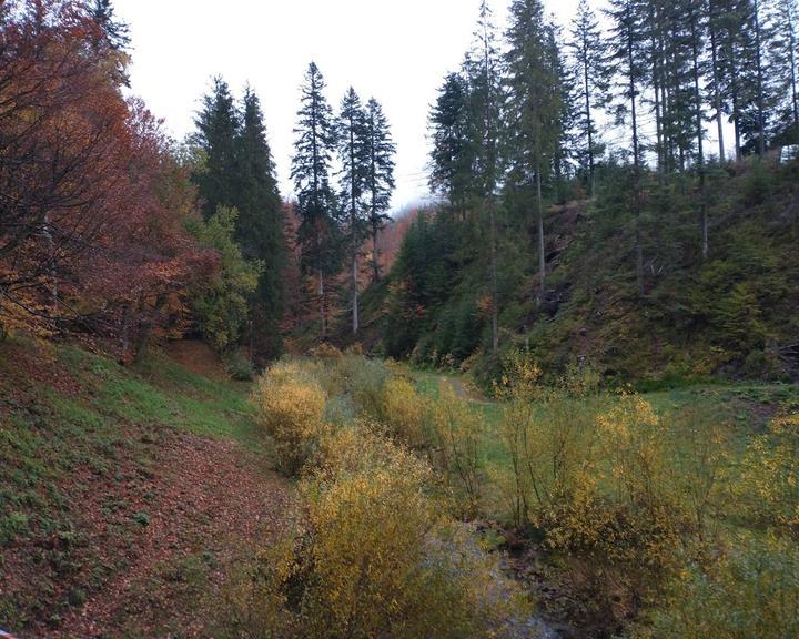 Höhengasthaus Herbstwasen